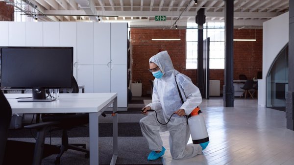 L'impact des rongeurs sur l'innovation technologique